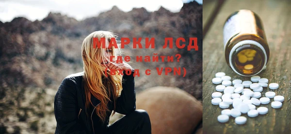 индика Нея