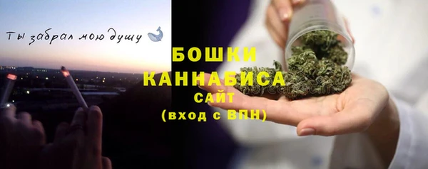 индика Нея