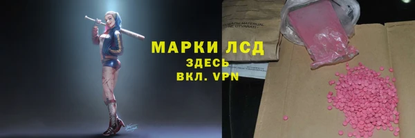 индика Нея