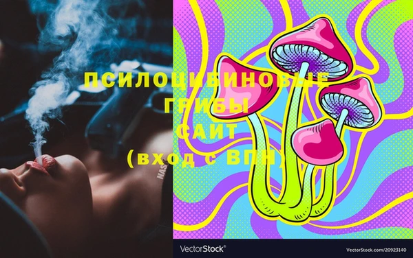 индика Нея