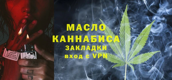 индика Нея