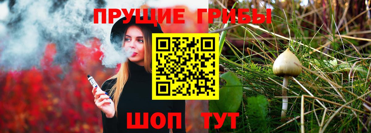 Стерлитамак  Галлюциногенные грибы Psilocybe  Вход с VPN 
